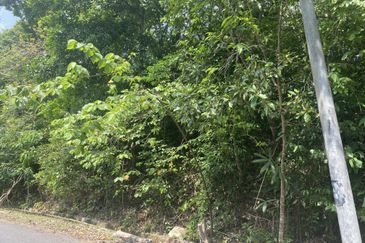 4 ACRES AGRI LAND FOR SALE