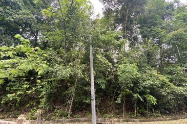 4 ACRES AGRI LAND FOR SALE