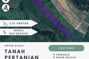 [GERAN 1 NAMA] Tanah Pertanian Kampung Baru Kura, Sik, Kedah