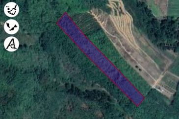 [GERAN 1 NAMA] Tanah Pertanian Kampung Baru Kura, Sik, Kedah