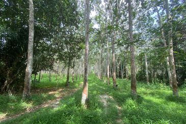 [GERAN 1 NAMA] Tanah Pertanian Kampung Baru Kura, Sik, Kedah