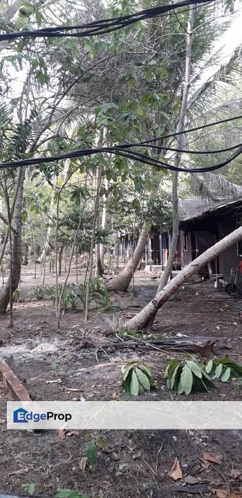 Pulau Kapas, Terengganu - Empty Land Suitable for Beach Chalet / Resort , Terengganu, Marang