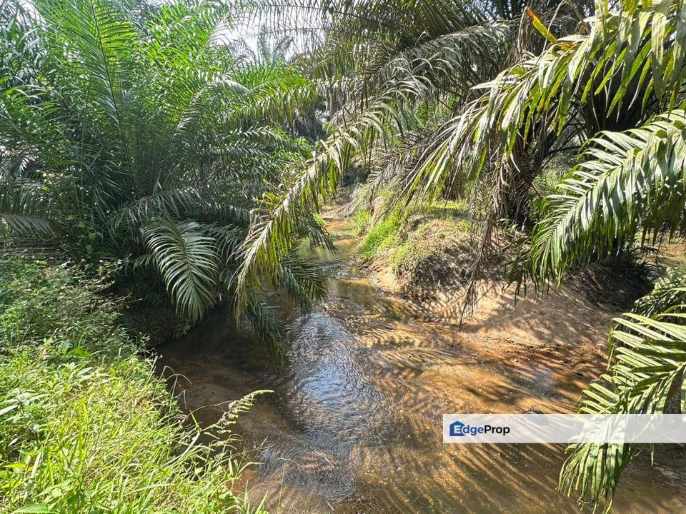 Selandar , Melaka - Tanah 2 Lot Tepi Jalan Untuk Dijual , Melaka, Jasin