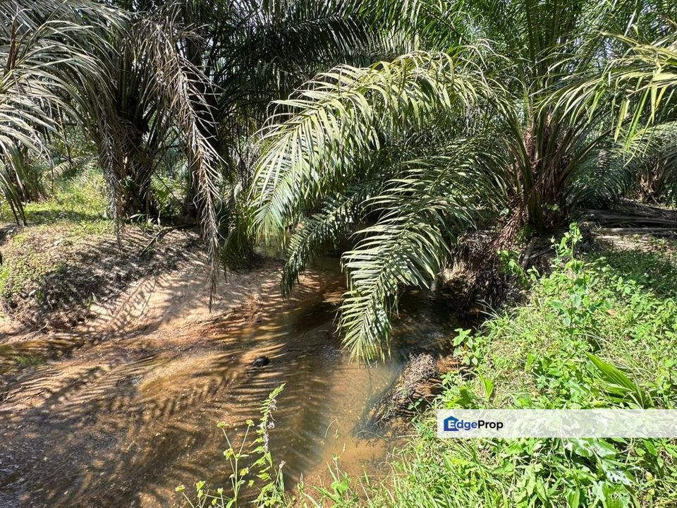 Selandar , Melaka - Tanah 2 Lot Tepi Jalan Untuk Dijual , Melaka, Jasin