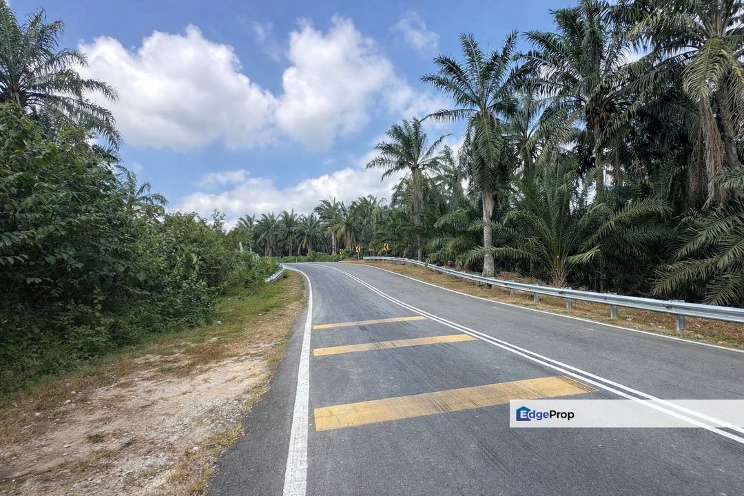 Selandar , Melaka - Tanah 2 Lot Tepi Jalan Untuk Dijual , Melaka, Jasin