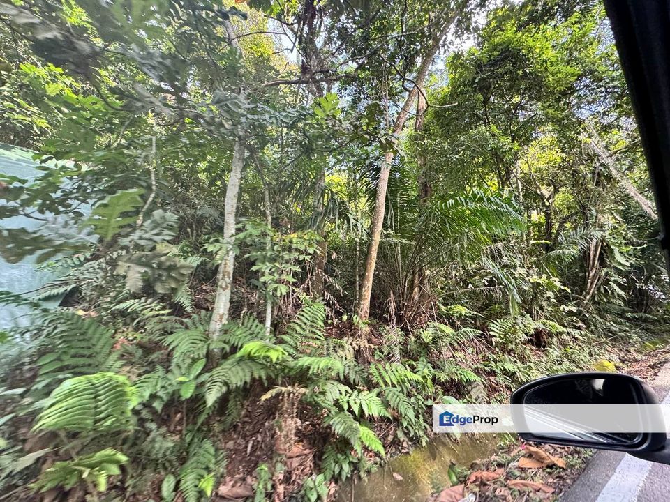 Batu Caves Selayang. Land for sale, Selangor, Gombak