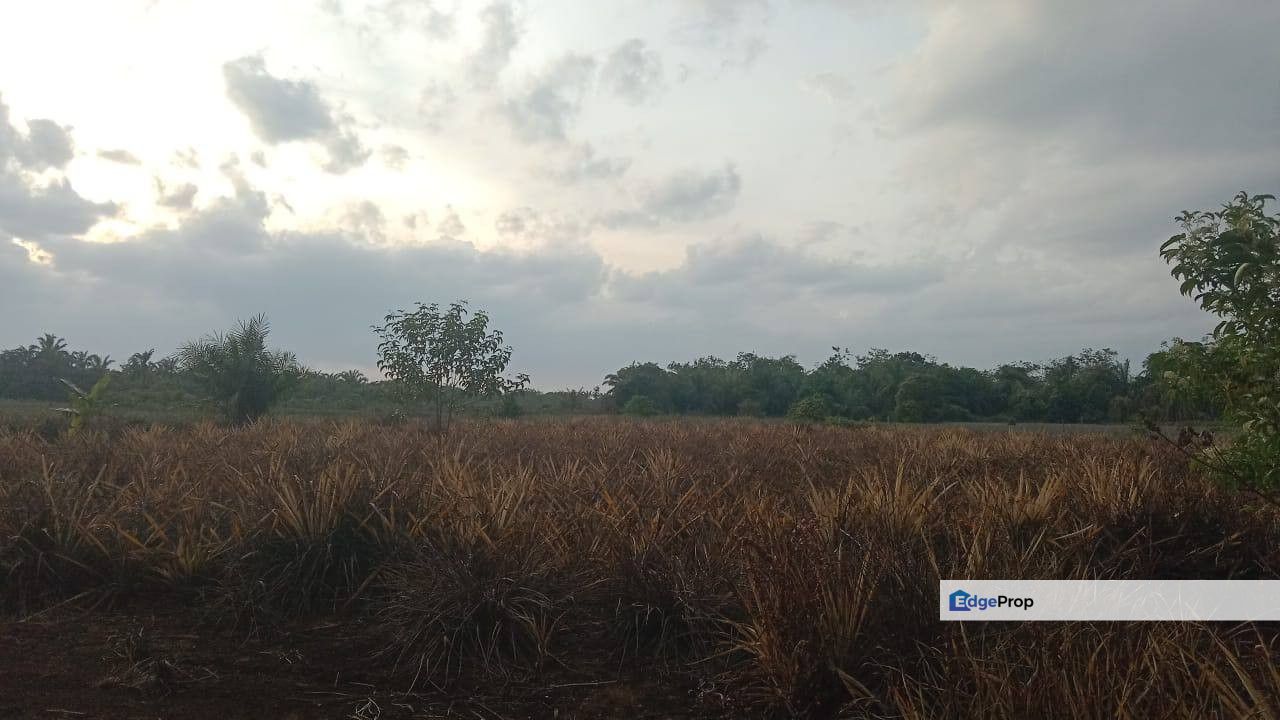 Ayer Hitam, Muar FOR SALE  Rezab Melayu, Johor, Kluang