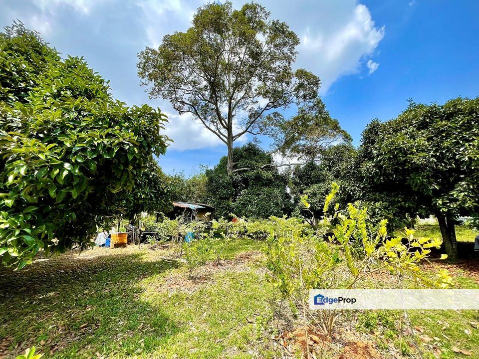 Semabok, Melaka  TANAH MURAH, CANTIK & BANYAK POKOK BUAH , Melaka, Melaka Tengah