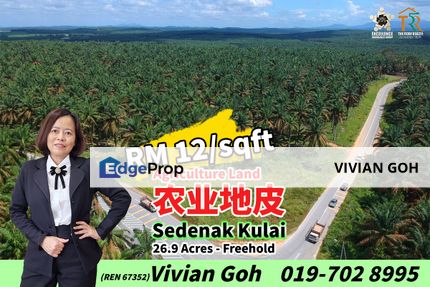 Sedenak Kulai 26.9 Acres Agriculture Land For Sale, Johor, Kulai