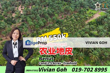 Benut 2.5 Acres Agriculture Land For Sale, Johor, Pontian