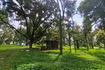 Tangkak 6.8 Acres Agriculture Land For Sale