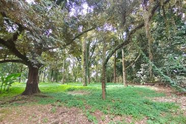 Tangkak 6.8 Acres Agriculture Land For Sale