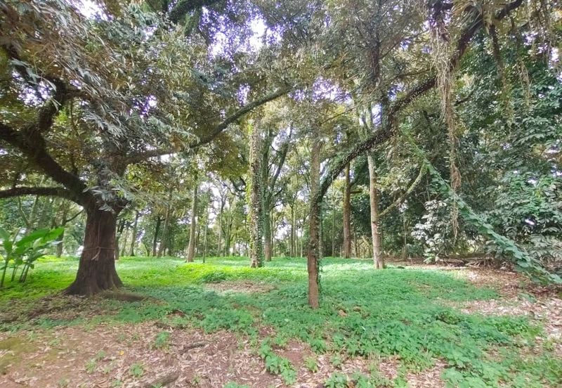 Tangkak 6.8 Acres Agriculture Land For Sale