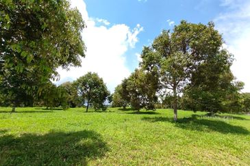 Yong Peng 22.5 Acres Agriculture Land For Sale