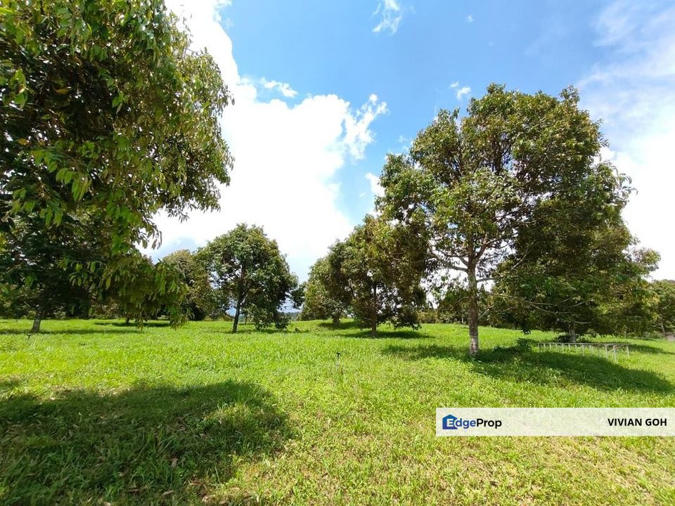 Yong Peng 22.5 Acres Agriculture Land For Sale, Johor, Yong Peng