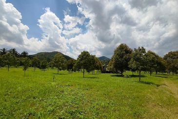 Yong Peng 22.5 Acres Agriculture Land For Sale