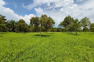 Yong Peng 22.5 Acres Agriculture Land For Sale