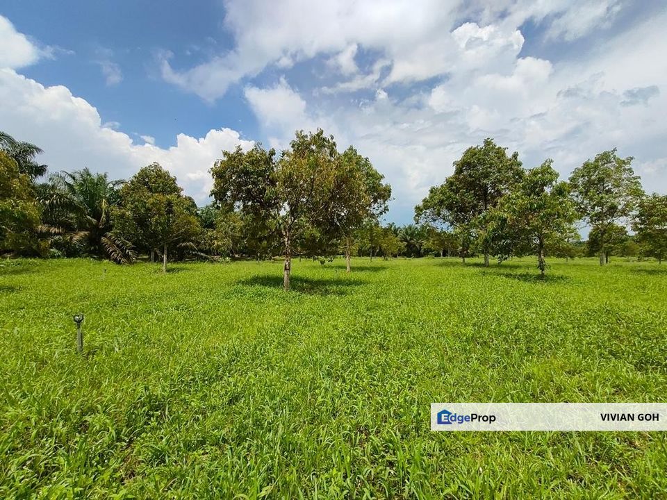 Yong Peng 22.5 Acres Agriculture Land For Sale, Johor, Yong Peng