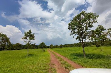 Yong Peng 22.5 Acres Agriculture Land For Sale