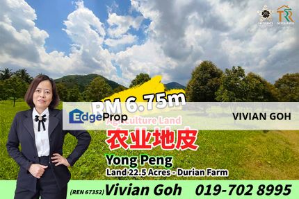 Yong Peng 22.5 Acres Agriculture Land For Sale, Johor, Yong Peng
