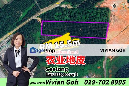 Seelong 310,000 sqft Agriculture Land For Sale, Johor, Senai