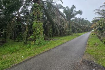 Kampung Semangar 5 Acres Agriculture Land For Sale