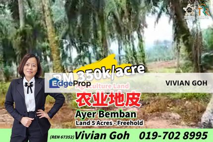 Ayer Bemban Agriculture Land For Sale, Johor, Kulai