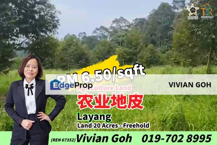 Layang 20 Acres Agriculture Land For Sale, Johor, Layang Layang