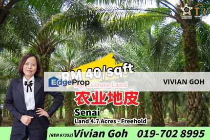 Senai Agriculture Land For Sale, Johor, Kulai