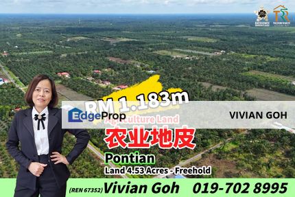 Pontian Agriculture Land For Sale, Johor, Pontian