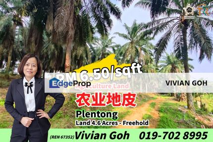 Plentong Agriculture Land For Sale, Johor, Johor Bahru