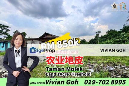 Taman Molek Agriculture Land For Sale, Johor, Johor Bahru