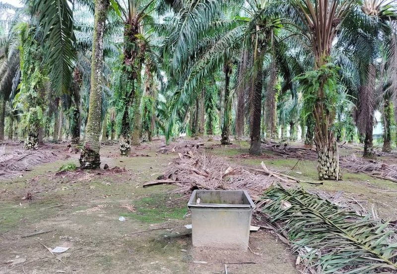 Empire Park Agriculture Land For Sale