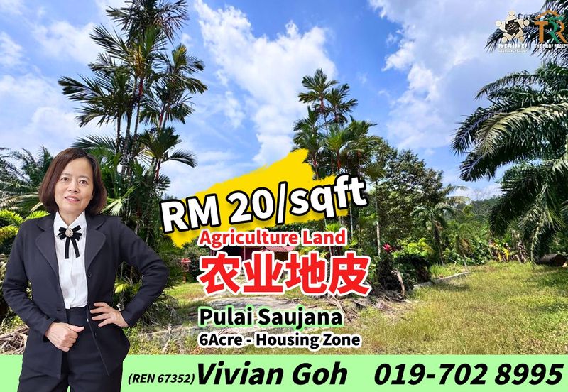 Pulai Saujana Agriculture Land For Sale