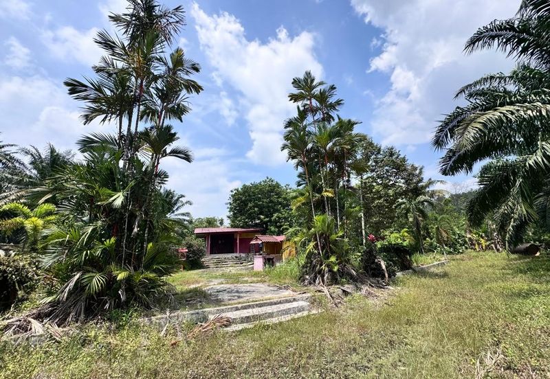 Pulai Saujana Agriculture Land For Sale