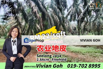 Seelong Jaya Agriculture Land For Sale, Johor, Senai