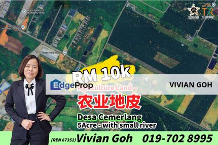 Desa Cemerlang Agriculture Land For Rent, Johor, Ulu Tiram