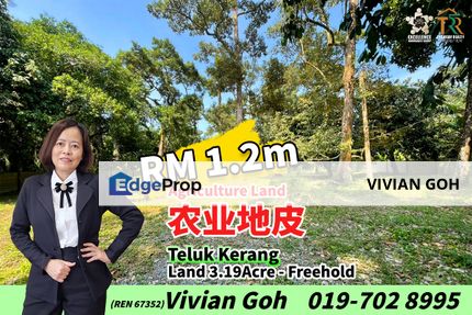 Teluk Kerang Agriculture Land For Sale, Johor, Pontian