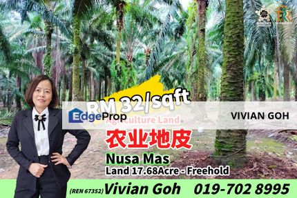Nusa Mas Agriculture Land For Sale, Johor, Gelang Patah