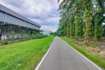 Nusa Mas Agriculture Land For Sale