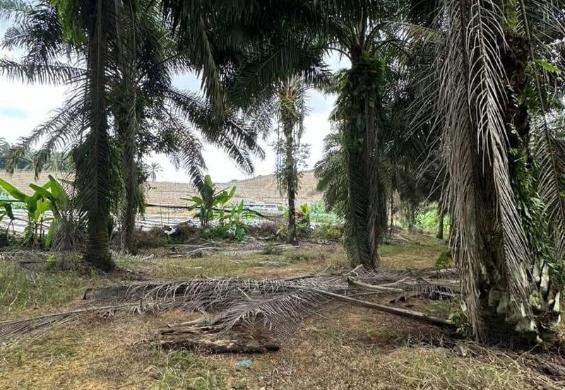 Jalan Sri Putri 4, Taman Putri Kulai