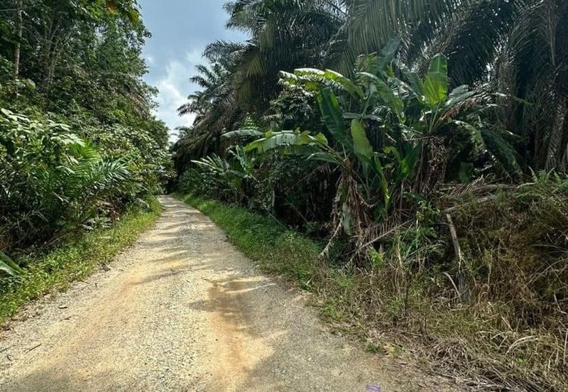 Jalan Sri Putri 4, Taman Putri Kulai