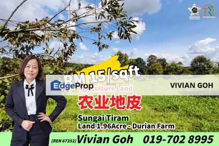 Sungai Tiram Agriculture Land For Sale, Johor, Ulu Tiram