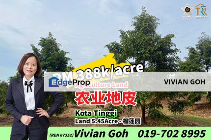 Kota Tinggi Agriculture Land For Sale, Johor, Ulu Tiram