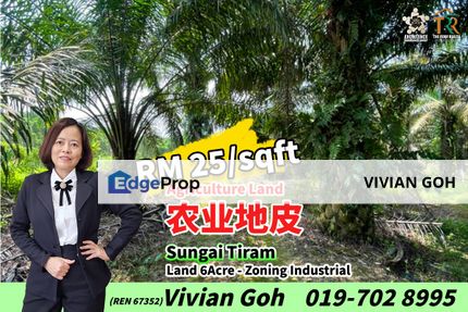 Sungai Tiram Agriculture Land For Sale, Johor, Ulu Tiram