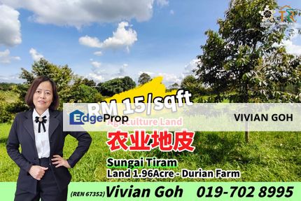 Sungai Tiram Agriculture Land For Sale, Johor, Ulu Tiram