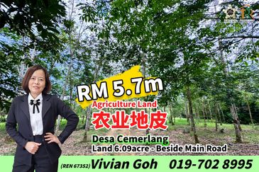 Taman Desa Cemerlang