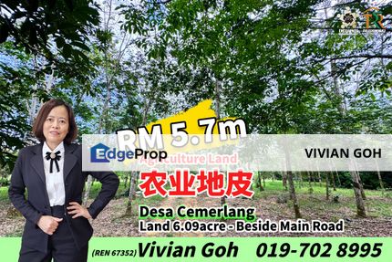 Desa Cemerlang Agriculture Land For Sale, Johor, Ulu Tiram