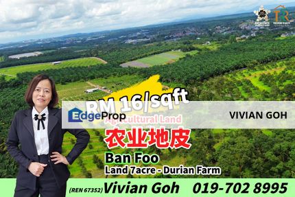 Ban Foo Agricultural Land For Sale, Johor, Ulu Tiram