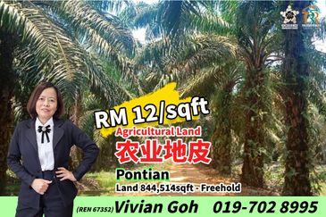 Rimba Terjun Pontian